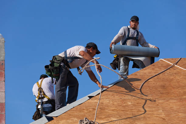 Best New Roof Installation  in Moriarty, NM